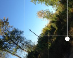 Camera+ для iPhone — всё, что нужно любому мобильному фотографу