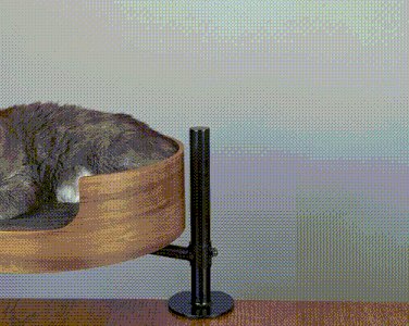 Лежанка для кошек с креплением к столу оказалась хитом на Kickstarter