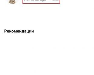 Как скрыть свой сетевой статус в Instagram*